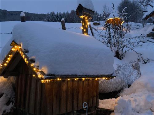 Ferielejlighed - 4 personer -  - Pöllau am Greim - 8843 - Sankt Peter Am Kammersber