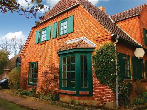 Ferieleilighet - 4 personer -  - Birkenallee - 18184 - Thulendorf/Sagerheide