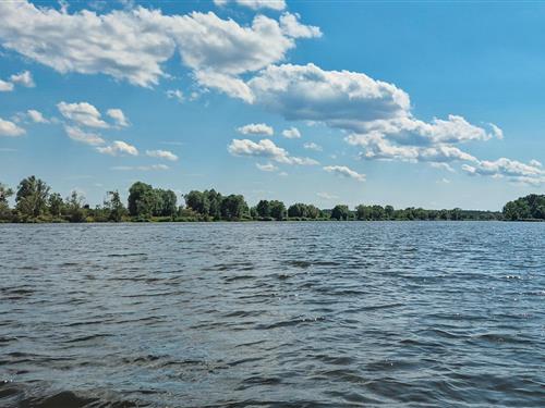 Ferienhaus - 5 Personen -  - Kozianka - Kozianka - 14-200 - Ilawa