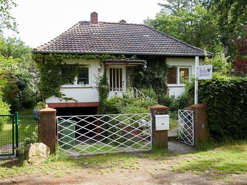 Ferienhaus - 2 Personen -  - Dorfstraße - 29640 - Schneverdingen