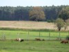 Bild 17