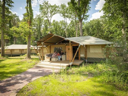 Glamping telt - 4 personer -  - 29693 - Hodenhagen