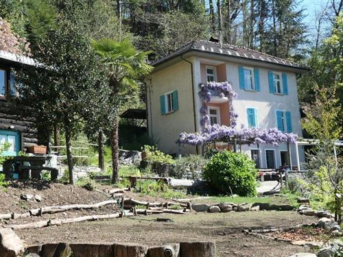 Ferienhaus - 13 Personen -  - Sentiero del Roccolo - 6605 - Locarno