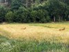Bilde 4 - Ude