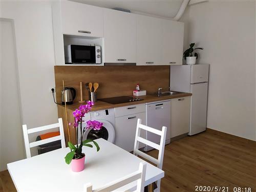 Holiday Home/Apartment - 4 persons -  - Novi Vinodolski - 51250 - Novi Vinodolski