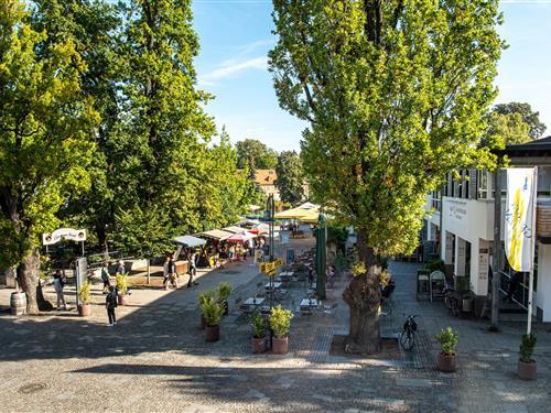 Ferienwohnung - 4 Personen -  - Dammstraße - 03222 - Lübbenau/Spreewald