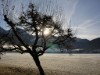 Bilde 5