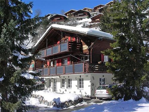 Ferielejlighed - 6 personer -  - Grindelwald - 3818