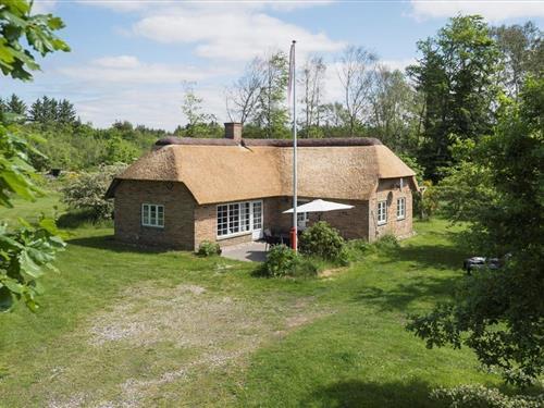 Sommerhus - 6 personer -  - Svollingvej - Vester Husby - 6990 - Ulfborg