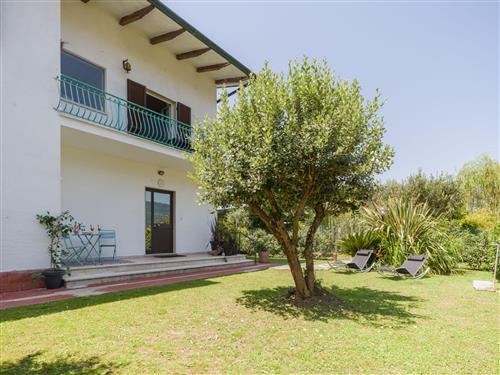 Ferienwohnung - 6 Personen -  - Cinquale - 54038
