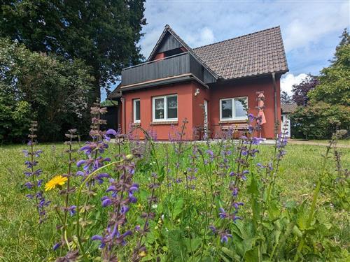 Sommerhus - 3 personer -  - Prerower Straße - 18375 - Wieck A Darß