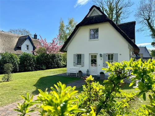 Holiday Home/Apartment - 4 persons -  - In de Drift - 18375 - Erholungsort Born