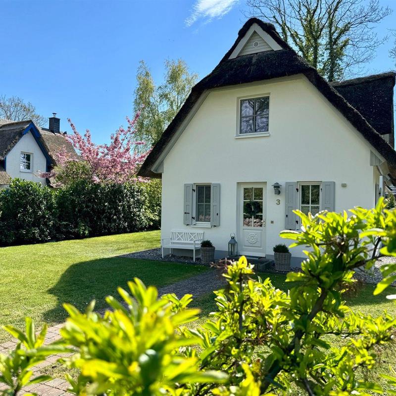 Sommerhus - 4 personer -  - In de Drift - 18375 - Erholungsort Born