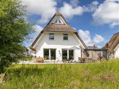 Sommerhus - 9 personer -  - Haffdroom - 18233 - Pepelow