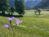 Bild 35