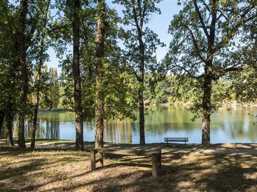 Semesterlägenhet - 5 personer -  - 47150 - Monflanquin