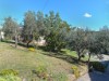 Image 7 - Outside