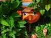Bild 22