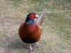 Bild 22