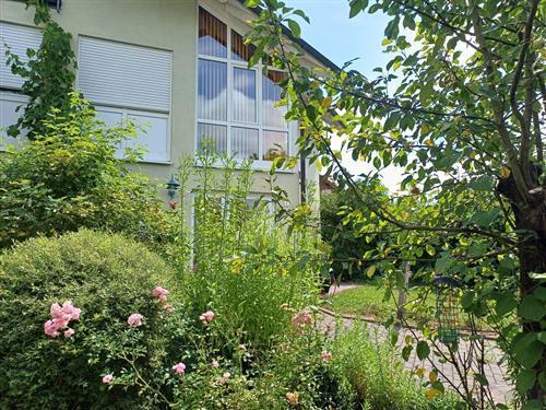 Ferieleilighet - 2 personer -  - Schreinersbild - 97956 - Werbach