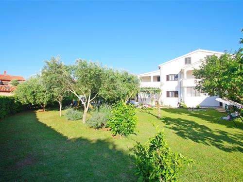 Holiday Home/Apartment - 4 persons -  - Vocarska - 52212 - Valbandon