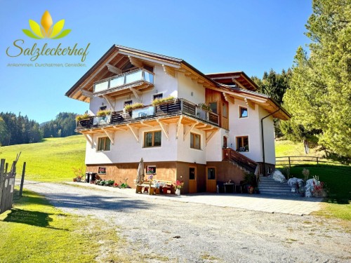 Ferielejlighed - 4 personer -  - Lessach - 8812 - St. Blasen