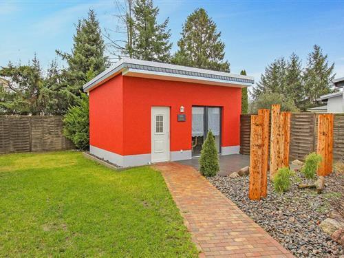 Ferienhaus - 3 Personen -  - Blumenstraße - 17454 - Zinnowitz (Seebad)