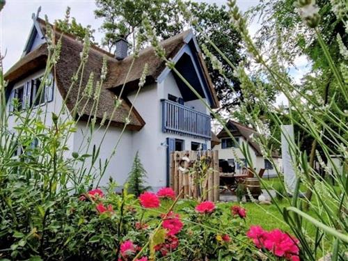 Semesteranläggning - 6 personer -  - Am Fischerdorf - 17419 - Zirchow