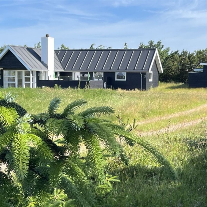 Sommerhus - 6 personer -  - P. Bachs Vej - Klitmøller - 7700 - Thisted