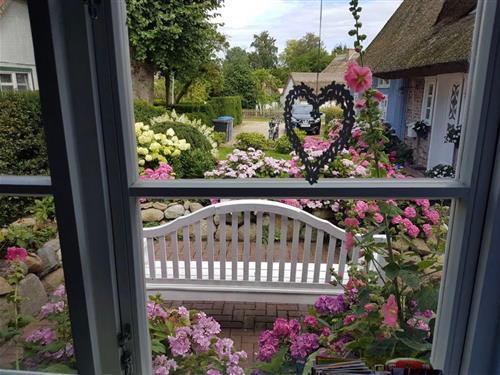 Sommerhus - 2 personer -  - Kurze Straße - 18375 - Born A. Darß