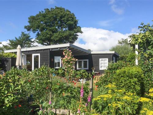 Sommerhus - 2 personer -  - Egmonderstraatweg - 1934 AD - Egmond Aan Den Hoef