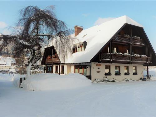 Feriehus - 3 personer -  - 79856 - Hinterzarten