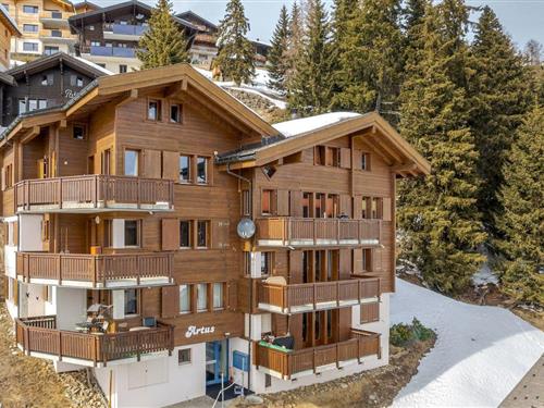 Holiday apartment - 6 persons -  - Alpmattenstr. - 3992 - Bettmeralp