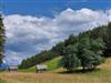 Bild 59