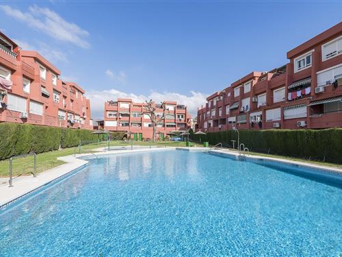 Feriehus / leilighet - 2 personer -  - 11207 - Algeciras , Cádiz