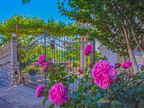 Holiday apartment - 4 persons -  - Novi Vinodolski - 51250