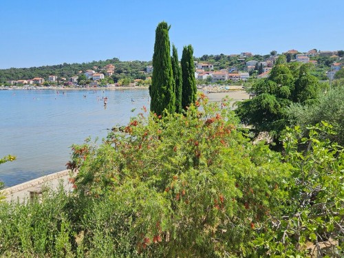 Ferienwohnung - 4 Personen -  - Lopar - Rab-Lopar - 51281 - Lopar