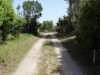 Billede 19