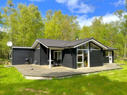Feriehus - 6 personer -  - Langvarigheden - Nordmarken - 9940 - Læsø