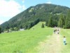Bild 17
