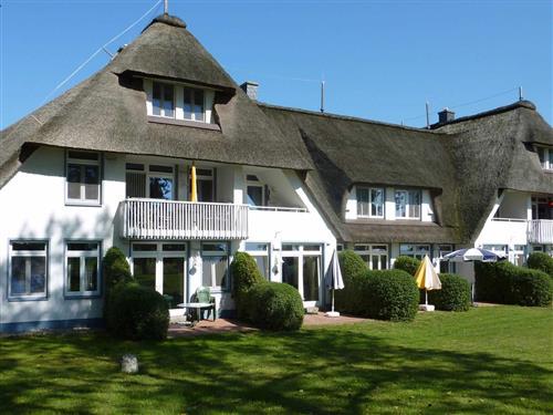 Ferieleilighet - 4 personer -  - Zur Trifft - 17406 - Stolpe Auf Usedom