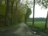 Bild 40