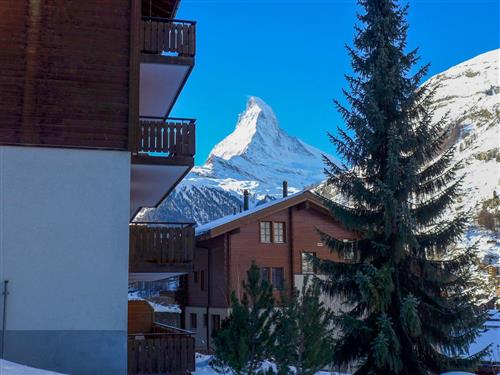 Sommerhus - 6 personer -  - Zermatt - 3920