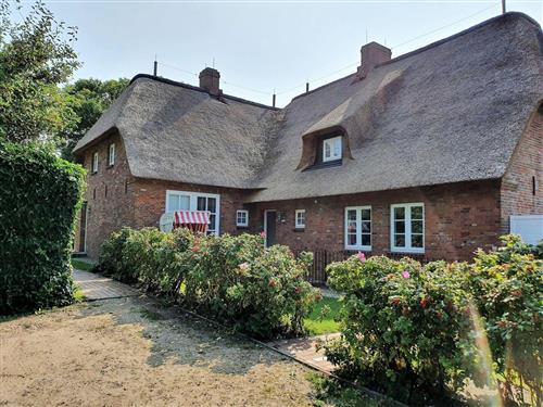 Ferienwohnung - 4 Personen -  - Marschweg - 25938 - Alkersum