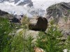 Image 12 - Outside