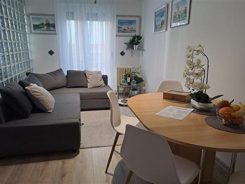 Ferielejlighed - 1 person -  - Osijek