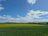 Image 24