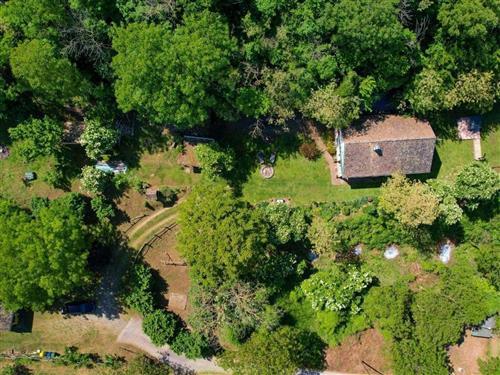 Sommerhus - 4 personer -  - Draž planina - 31305 - Draz