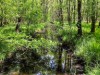 Bilde 4