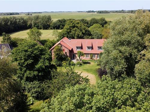 Holiday apartment - 4 persons -  - Westerenn - 25882 - Tetenbüll